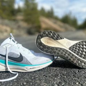 FIRST COPY Nike Pegasus 41